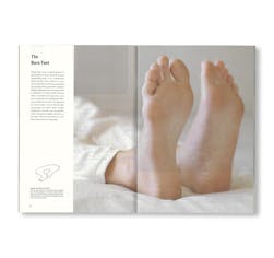 SCIENCE OF THE SECONDARY #15: FLOOR